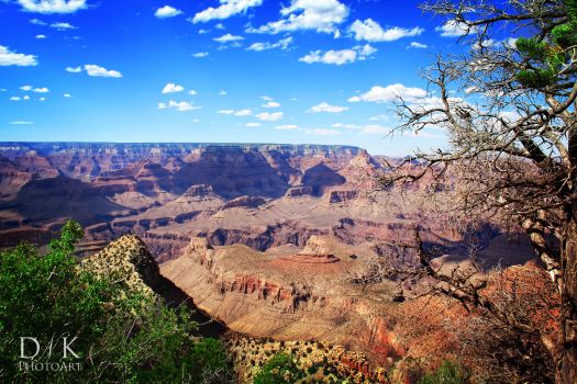 Grand Canyon 409